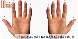 Ý nghĩa các ngón tay và các gò trên bàn tay
